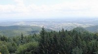 vue de la Tour du Grand Wintersberg